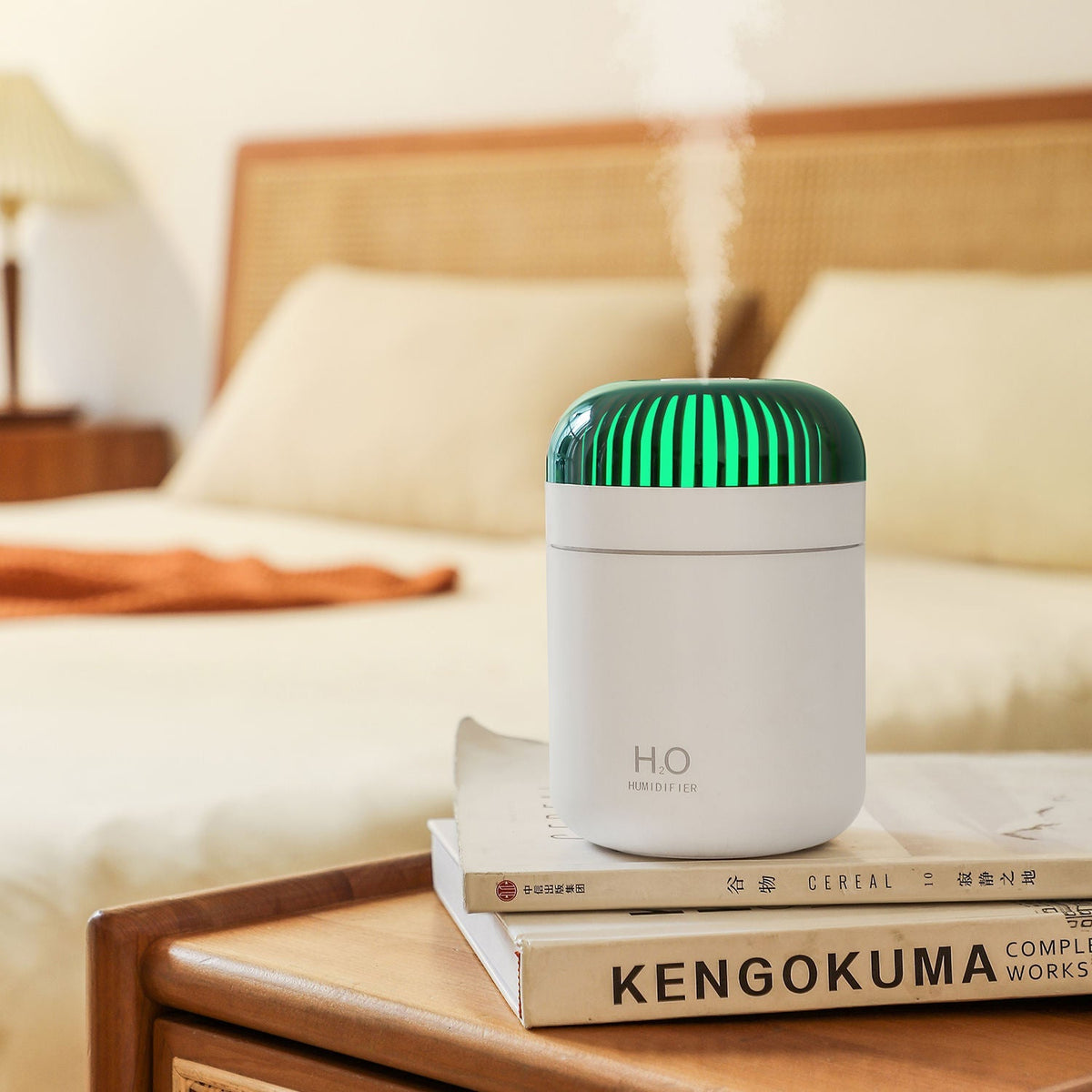 Portable LED Night Light Humidifier