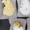 Sleeping Cat Plush Toy with Sound – Ultra-realistic pet toy cats that look like they’re peacefully napping, perfect as home décor or a stress-relief companion.