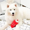 Pet Plush Toys